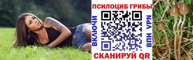 Псилоцибиновые грибы прущие грибы  купить наркотики цена  Бердск 