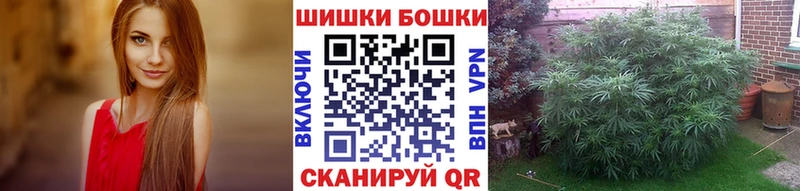 Конопля семена  Бердск 
